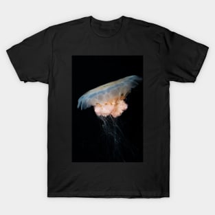 Irukandji Jellyfish T-Shirt